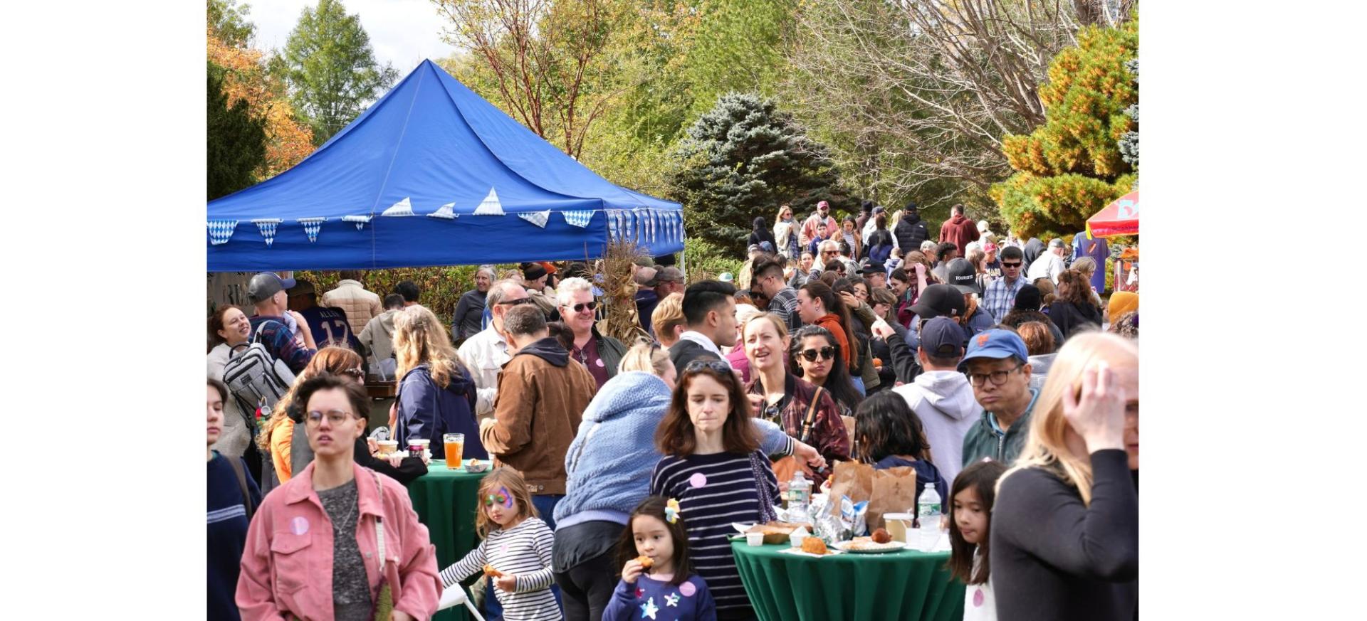 2024 Harvest Festival Vendors Berkshire Botanical